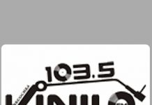 Radio Vinilo 103.5 FM